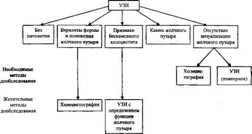 Общая схема обследования желчного пузыря и протоков (Цыб А.Ф., Дергачев А.И., 1991)