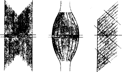 Рис. 33. Анатомический (сплошная линия) и физиологический (прерывистая линия) поперечники мышц различной формы