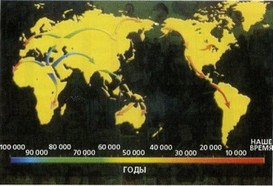 Рис. 39. Пути и время миграции человека на Земле, установленные по генетическим маркерам.