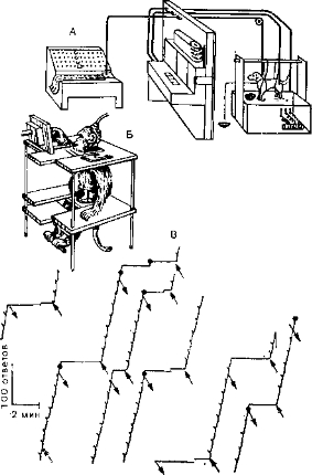 Рис. 49. А. Схема экспериментальной установки для выработки классических условных рефлексов. 