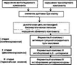 Рис. 2.13. Типовой патологический процесс нарушений ЭС и биоустойчивости 