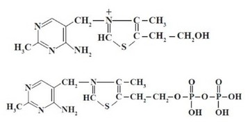 Рис. 9. Химическая структура витамина В1 (тиамина) и тиаминпиро- фосфата.