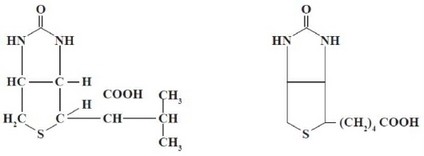 Рис. 25. Химическая структура а и в- биотина.