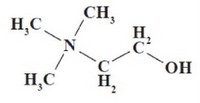 Рис. 29. Химическая структура холина.