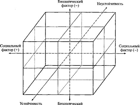 Рис 9.2. Семантическое пространство дизонтогенетического фактора