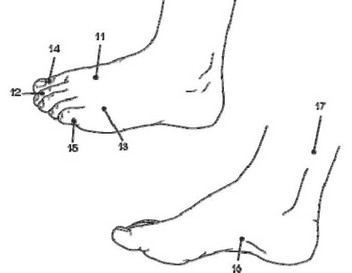 Рис. 5. Расположенные на ногах биологически активные точки, массируемые при головных болях